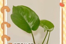 如何有效应对绿霸王叶子焉了的问题（保护植物生态环境，共同抵御绿霸王入侵）