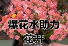 磷酸二氢钾过量的处理方法（安全处理花卉中的磷酸二氢钾过量问题）