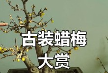 腊梅树桩的养护方法（打造美丽庭院的秘密武器）