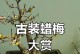 腊梅树桩的养护方法（打造美丽庭院的秘密武器）