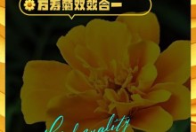 万寿菊花的种子收集与保存（了解万寿菊花的繁殖方式及如何保存它们的种子）