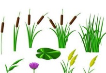 绘画小狗、花和草——创造生动的自然画作（学习简单技巧，让画作栩栩如生）