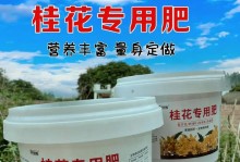 秋天桂花树的施肥技巧（让桂花树健康茂盛的秘诀）