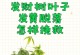 发财树叶断了怎么办？（运输中发生的意外情况如何处理，保证发财树的生命力）