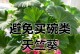 秋冬天竺葵的养护之道（了解秋冬天竺葵的特点及养护要点，让你的花园四季芬芳）