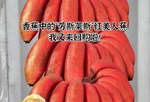 红香蕉成熟的标志与时间（了解红香蕉成熟的方法，享受美味食物）