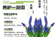 风信子小球的处理与利用（创意花艺利用风信子小球，打造别样魅力）