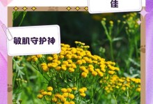 蓝菊花养护指南——打造美丽花园的秘籍（蓝菊花的栽培技巧、病虫防治、施肥方法和繁殖方式）