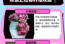 冬天怎样养殖以球松，保护好你的花园（寒冬腊月，以球松如何在低温环境下顽强生存？）