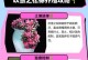 冬天怎样养殖以球松，保护好你的花园（寒冬腊月，以球松如何在低温环境下顽强生存？）