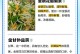 金银花养护指南（打造美丽健康的金银花花园）