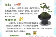 彩铁植物养护全指南（打造独特花园的关键，彩铁植物养护技巧揭秘）