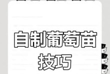 葡萄枝种植的全面指南（从选种到收获，一步步教你种植葡萄枝）