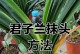 夏季开花的君子兰养护技巧（掌握关键要点，让君子兰夏季绽放迷人花朵）