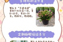 蟹爪兰土发白怎么办？解决办法一网打尽！（蟹爪兰土壤发白的原因及修复方法）