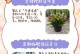 蟹爪兰土发白怎么办？解决办法一网打尽！（蟹爪兰土壤发白的原因及修复方法）