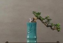 福建茶盆景养护的秘诀（掌握土壤栽培技巧，让茶盆景长势更旺盛）