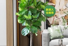 客厅绿化，让家更有灵气（适合种植的树木种类及养护方法）