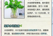 以水培绿萝长出藤的技巧（水培绿萝的藤生长方法及关键要素）