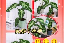 海芋（海芋适合在家中养护，轻松打造小清新空间）