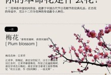 什么花的花语是表白的意思？（解读花语，用花传递爱的心意）