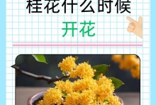 探寻桂花树的魅力（从花朵到香气，桂花树的不凡之处）