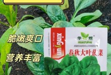 冬天室内种菠菜的全攻略（轻松在寒冷冬季享受新鲜菠菜的方法与技巧）