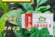 冬天室内种菠菜的全攻略（轻松在寒冷冬季享受新鲜菠菜的方法与技巧）