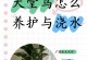 天堂鸟养殖指南（打造舒适环境，精心照料，让天堂鸟绽放美丽）