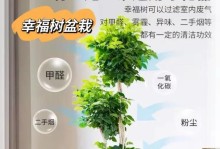 幸福树的养殖方法与注意事项（打造幸福家园，从养幸福树开始）