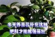 冬季如何养护茶花？（二十多度的冬天，如何照顾茶花？）