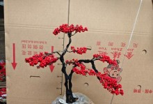 打造美丽冬青盆景的养护技巧（让你的冬青盆景焕发生机的秘密）