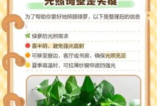 绿箩叶边发黄的原因及解决办法（保持绿箩叶健康生长的关键方法）