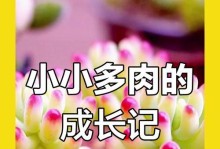 多肉植物的快速生长秘籍（打造繁花似锦的多肉花园，助你掌握多肉植物快速生长的关键）