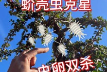 探究以树上长壳的虫子的治疗方法（了解虫子特性和有效治疗手段）