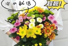如何正确地水养雏菊鲜花（打造鲜艳美丽的花坛）