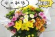 如何正确地水养雏菊鲜花（打造鲜艳美丽的花坛）