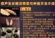 葫芦采摘的最佳时间（掌握采摘技巧，享受丰收乐趣）