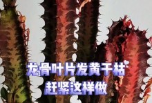 龙骨叶子的毒性及预防措施（探究龙骨叶子的毒性成因与毒性表现）