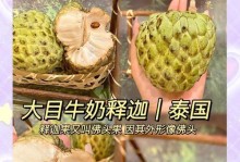 如何挑选成熟的番荔枝（挑选番荔枝的技巧和注意事项）