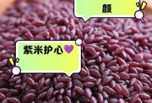 多肉植物紫米粒的养殖技巧（了解紫米粒的特点，轻松养殖多肉植物）