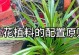 兰花种植条件与生长环境要求（打造适宜兰花生长的环境）