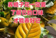 栀子花的施肥技巧（科学施肥，让栀子花更美丽）