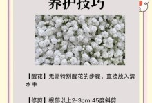 如何处理满天星花谢了（教你从根源解决花卉凋谢的问题）