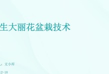 如何成功种植大丽花盆栽（从选购到养护，关键步骤一网打尽）