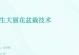 如何成功种植大丽花盆栽（从选购到养护，关键步骤一网打尽）