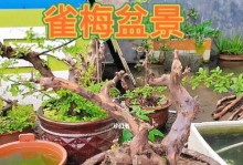 雀梅盆景修剪的技巧与要点（打造美丽盆景，雀梅修剪五步骤）