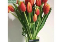 郁金香切花变直的绝妙方法（掌握关键技巧让郁金香切花直如箭）