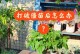辣椒僵苗处理技巧（如何救治僵化的辣椒幼苗）