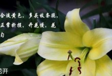 纯洁的花——赋予清新的意义（探寻花语中的纯洁之美）